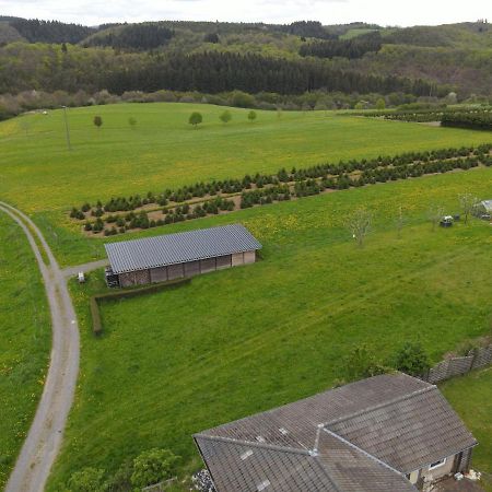 Ferienwohnung Zum Nuerburgring Munk Zewnętrze zdjęcie